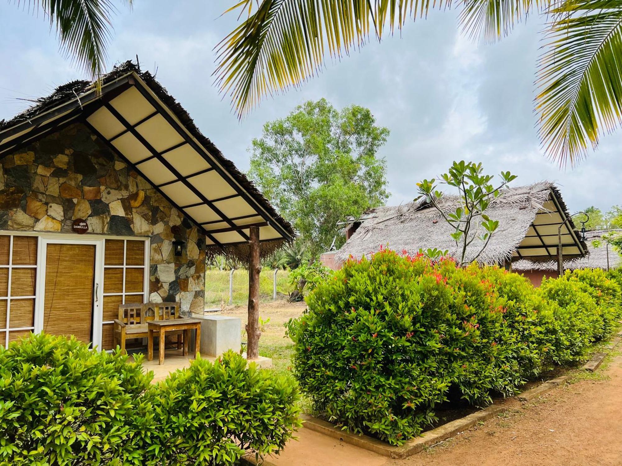 Coco Village Hotel Chilaw Exterior photo